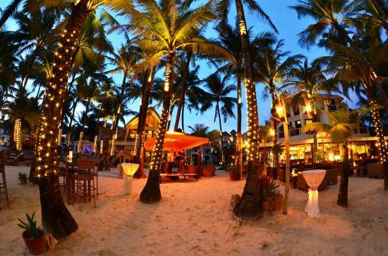 Al Fresco Bar and Restaurant